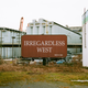 Illustration for article titled First roll of Ektar 100